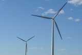 Wind farm in Western Australia
