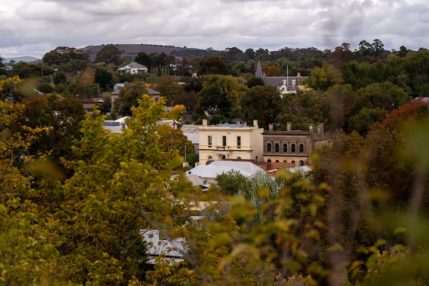 An aerial image looking through trees towards some old buildings