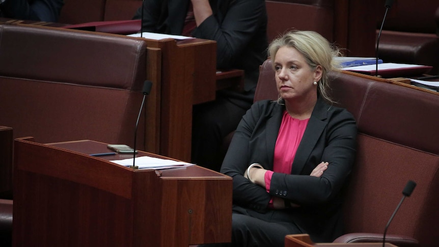 Bridget McKenzie looks into the distance while sitting alone in the senate