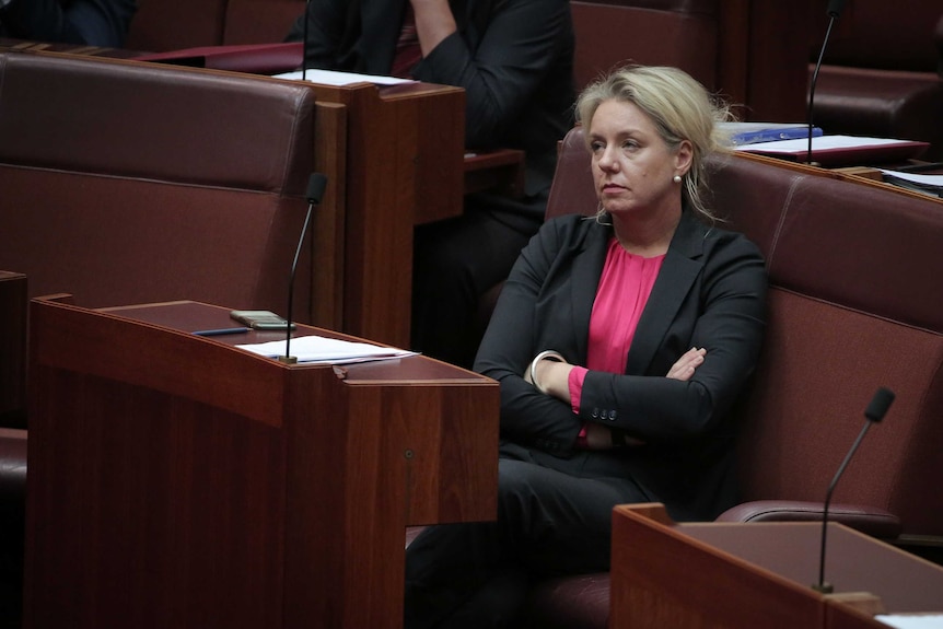 Bridget McKenzie looks into the distance while sitting alone in the senate