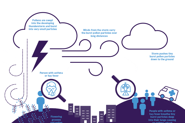 A diagram demonstrating how thunderstorm asthma works