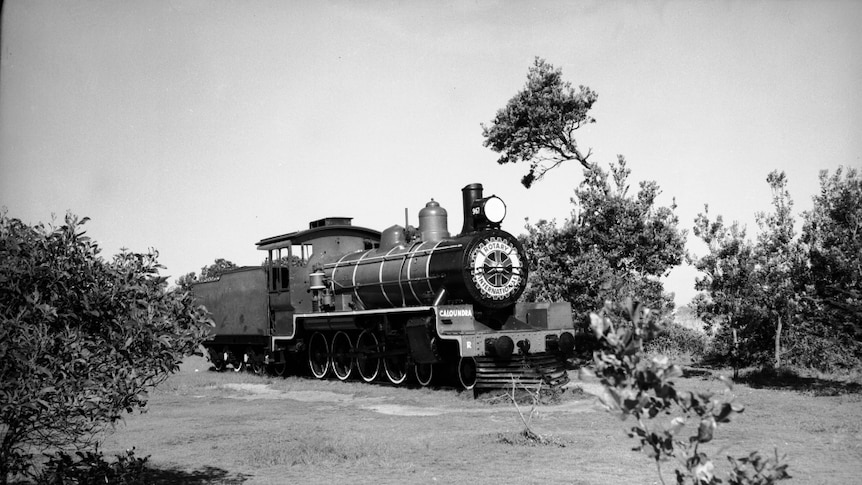 A black-and-white photograph of a steam train surrounded by scrubby plants.