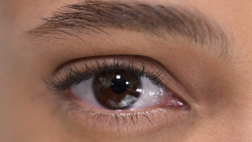 Close up of eye - female