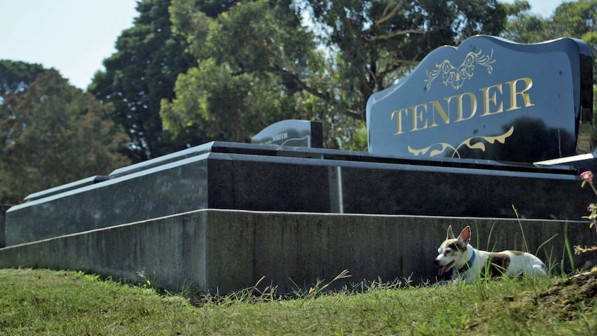 The documentary 'Tender' is screening at the Sydney Film Festival, about the Port Kembla community centre's push to provide not-for-profit funerals.