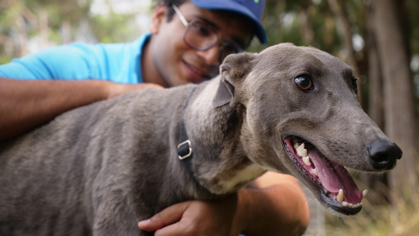A man wearing a cap and glasses smiling as he hugs a grey greyhound, who is in the front of the shot.