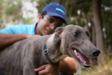 A man wearing a cap and glasses smiling as he hugs a grey greyhound, who is in the front of the shot.