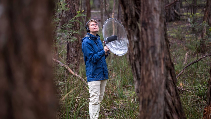 Ann Jones with Parabolic Microphone