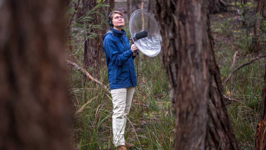 Dr Ann Jones standing quietly in a forest with a large circular recording device held on angl