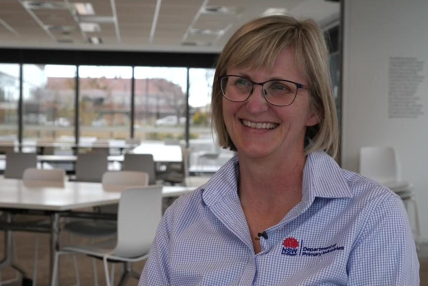 A woman with glasses and a collared shirt smiles.