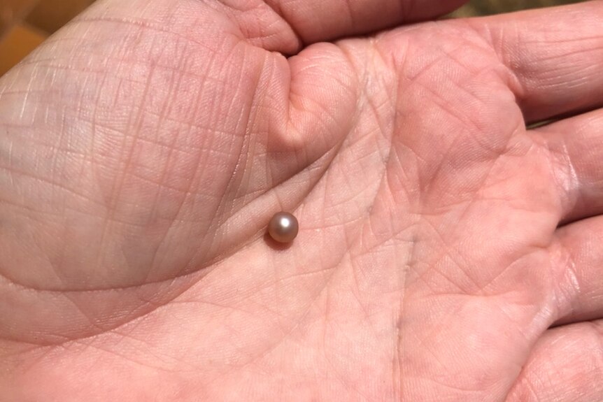 A hand holds a small pearl.