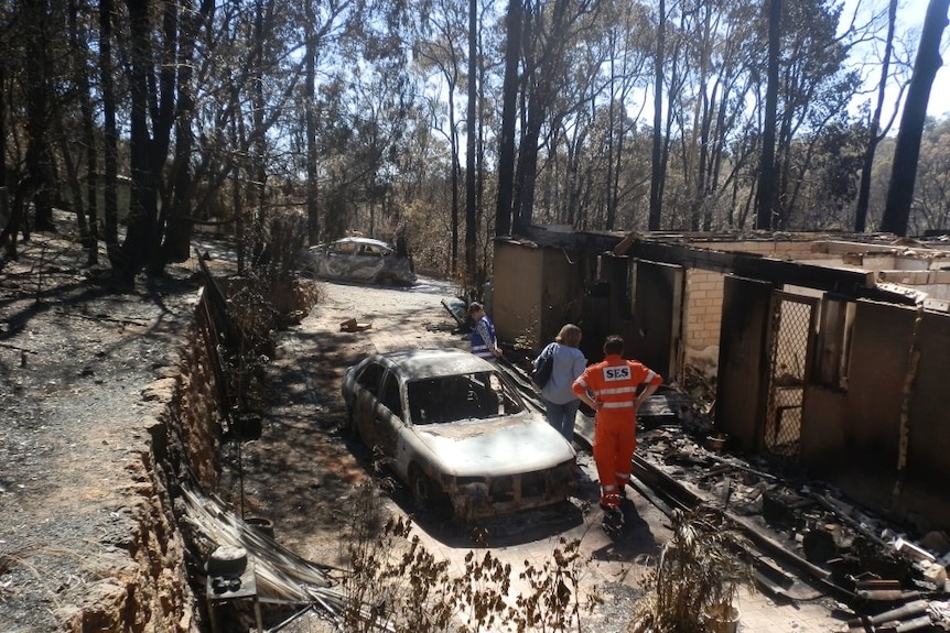A burnt out car surrounded by burnt out trees