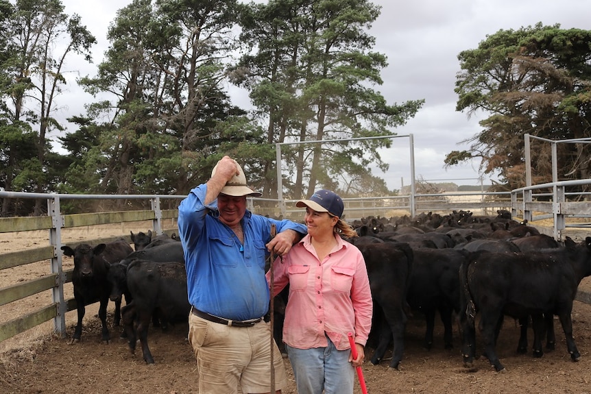 Two farmers, Rob and Georgie, stand in a yard with their cattle