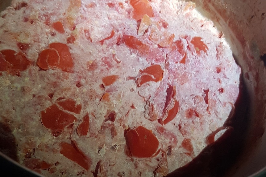 Wild fermentation raw tomato preserve