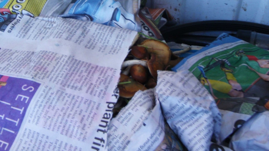Mushrooms wrapped in newspaper.