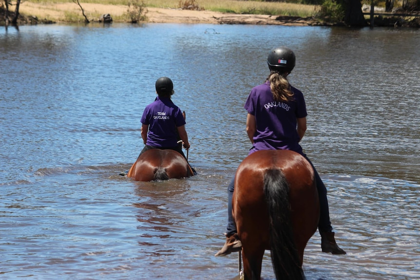 The back of two horses and horse riders in water 