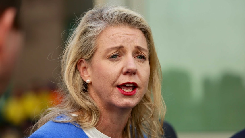 Senator Bridget McKenzie speaks to media at Parliament House