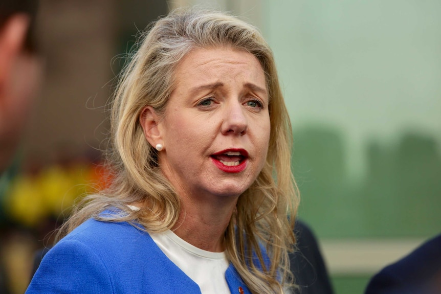 Senator Bridget McKenzie speaks to media at Parliament House