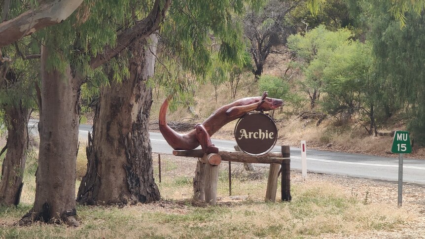A large wooden goanna statue nailed to a wooden post named Archie.
