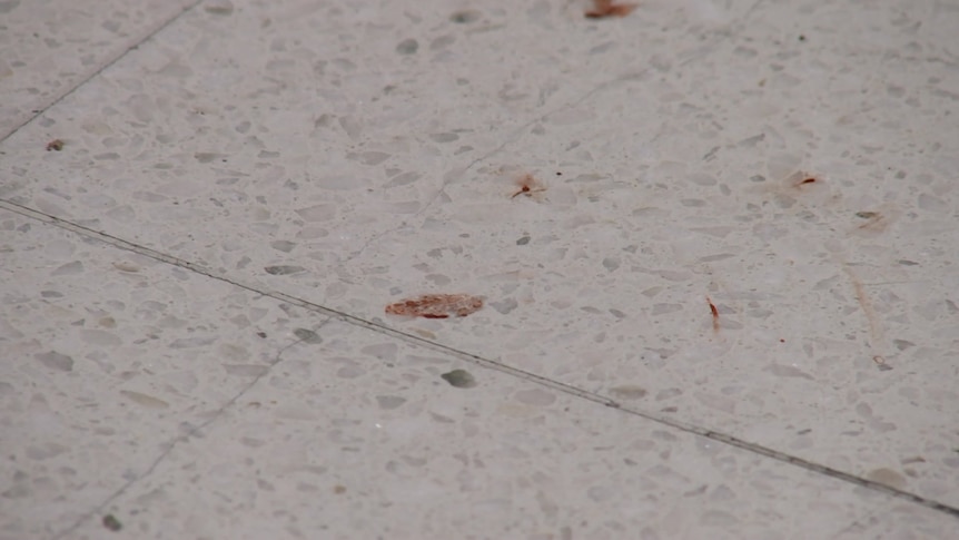 Blood stains on a shopping centre floor.