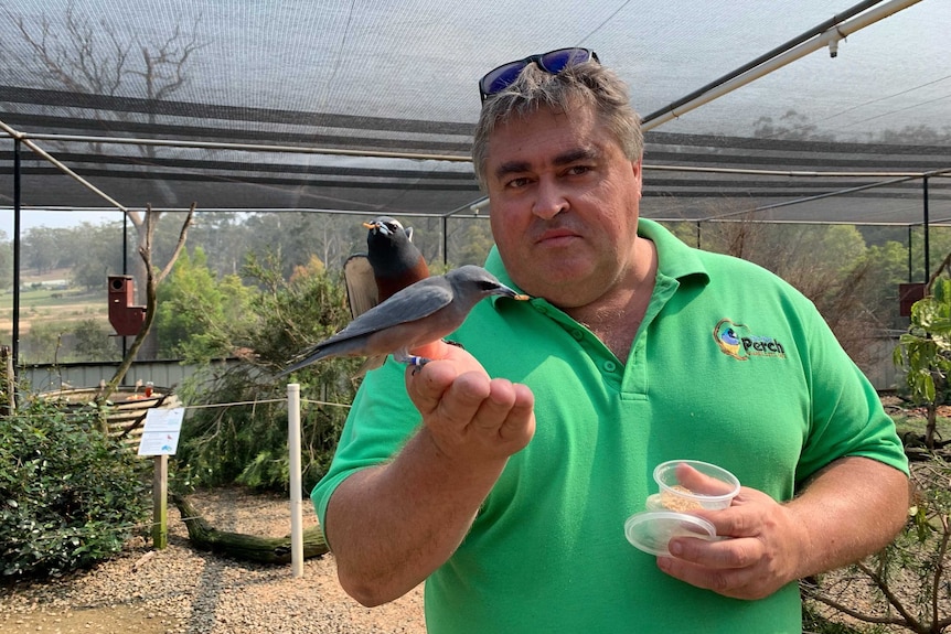 Steve Sass holds a bird in his hand while in an aviary at the park. He's wearing a green shirt.