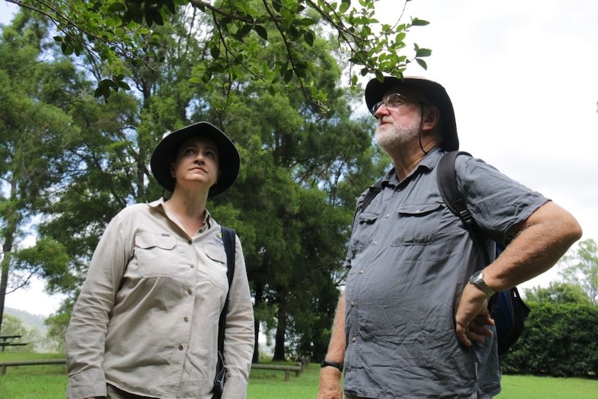 Two people stand in a park looking at a tree.