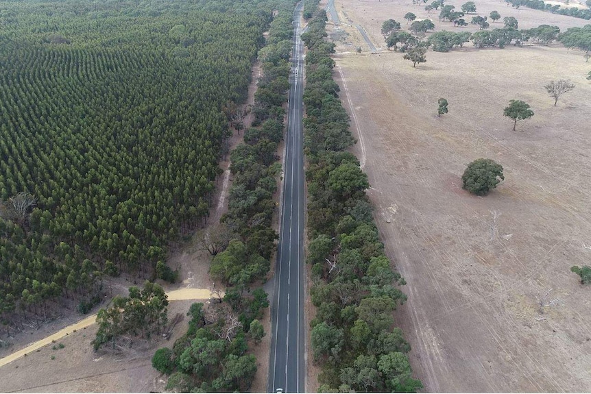 An aerial view of a long, straight highway running through bushland.
