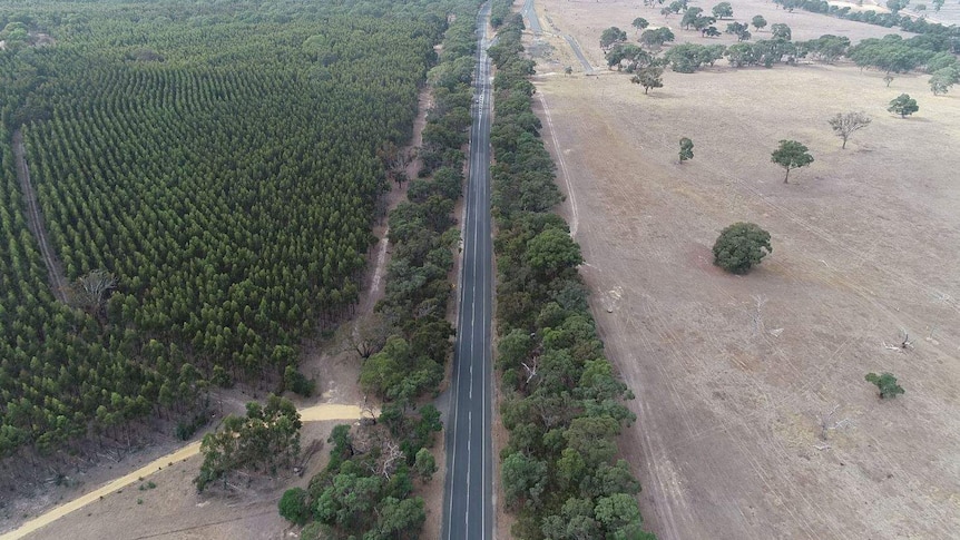 A bird's eye view of a highway in the Victorian countryside.