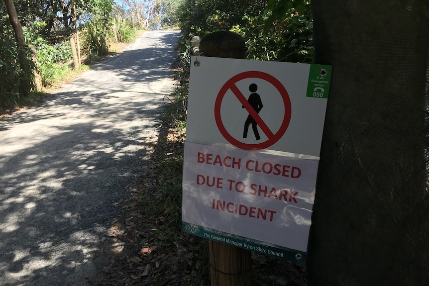 Beach closure sign after shark attack