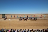 Racehorses cross the finish line on a dusty race track as punters look on.