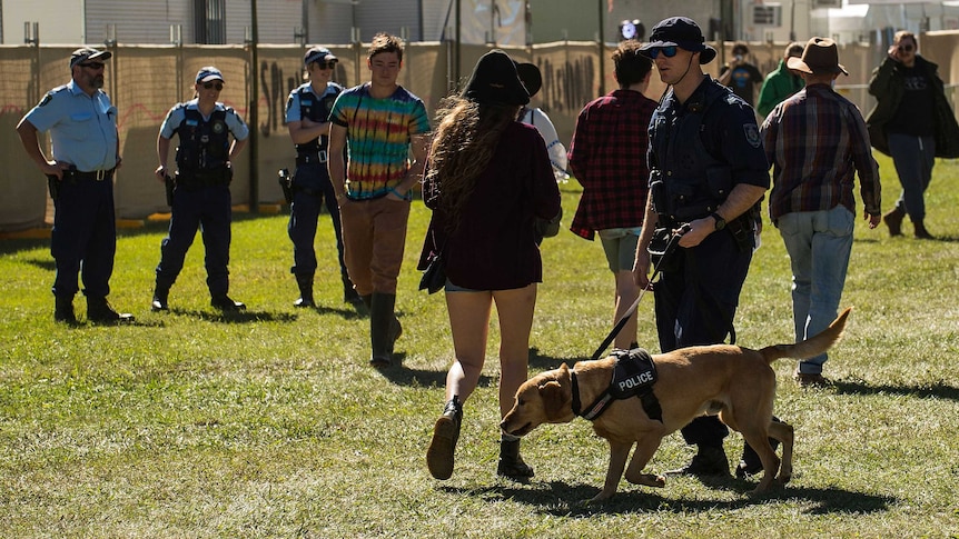 can drug dogs smell smoke on clothes