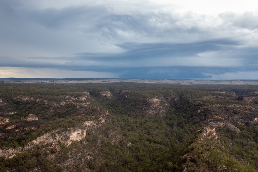 A view across the Carnarvon National Park from Isla Gorge lookout, near Taroom, Queensland, November 2021