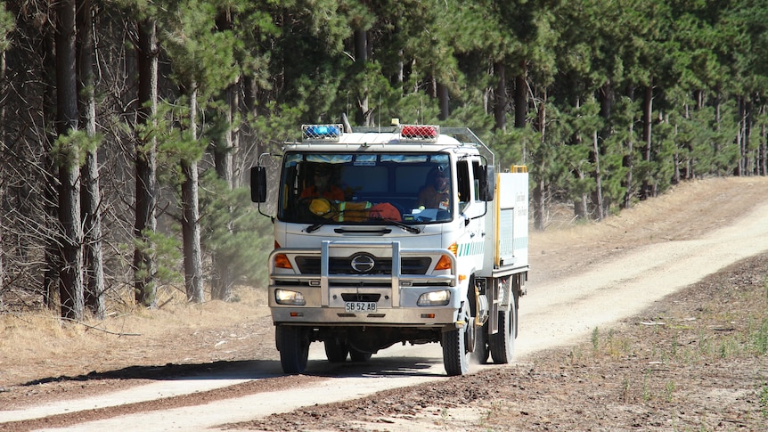 Front on of a fire truck driving on a road with a forest behind