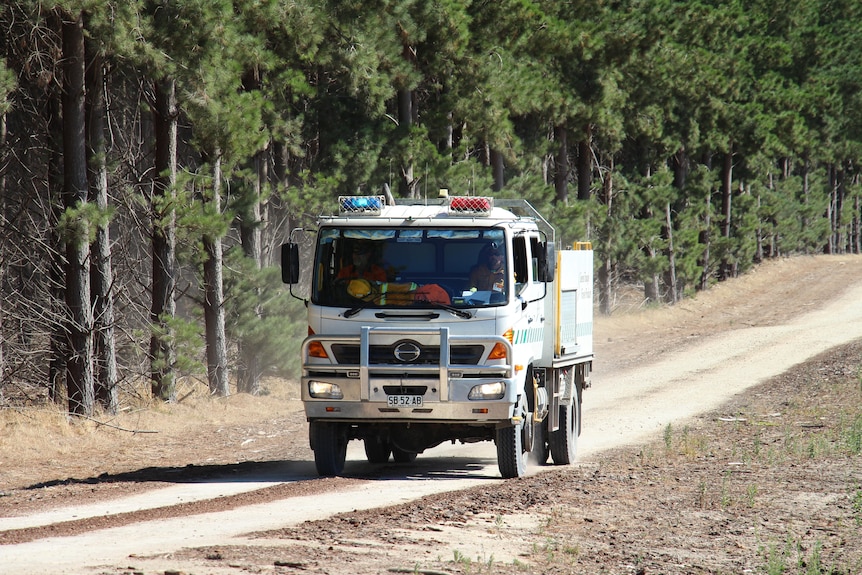 Front on of a fire truck driving on a road with a forest behind