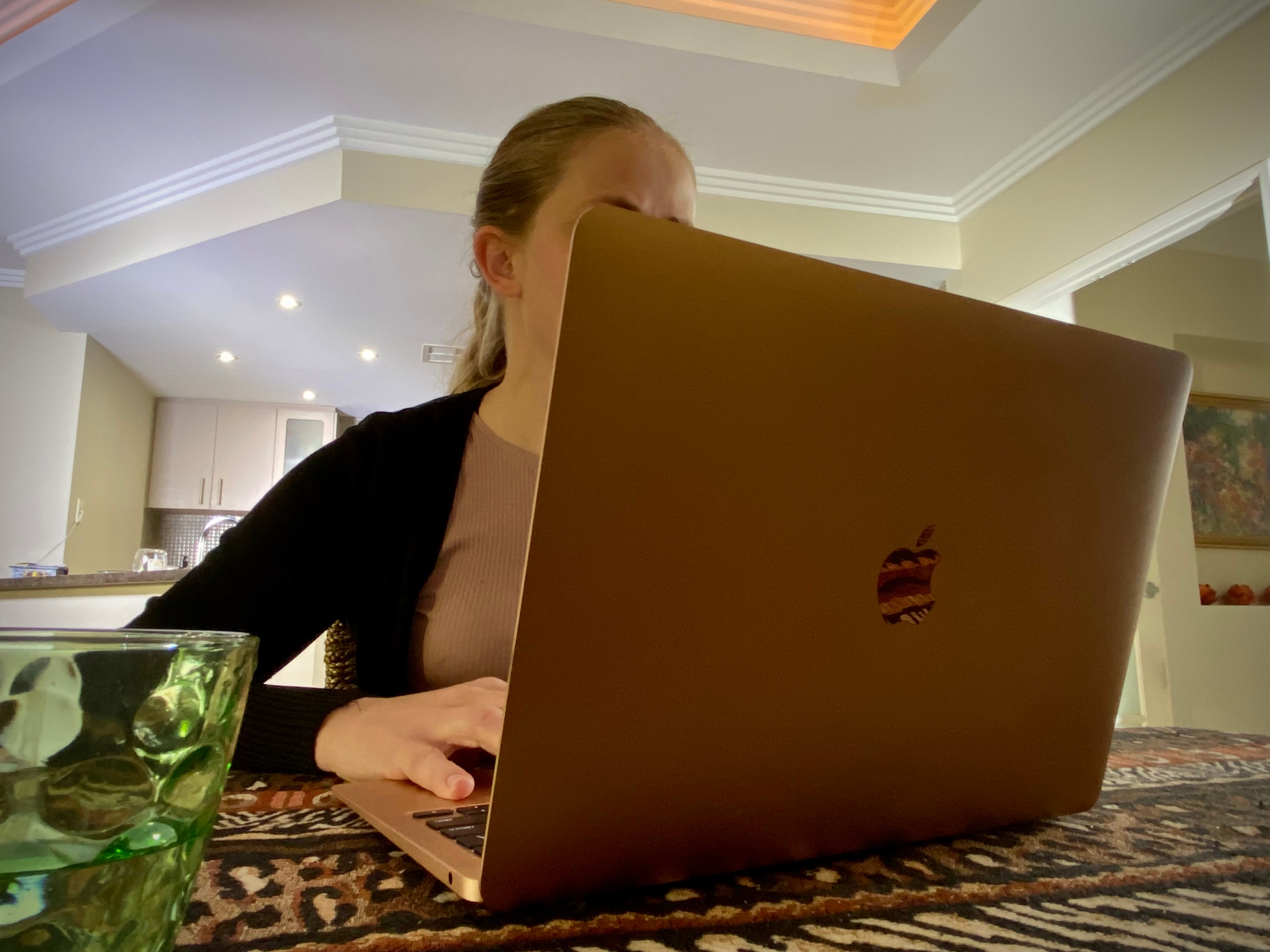 A young woman is using a laptop at the kitchen table, her face is hidden behind the screen.