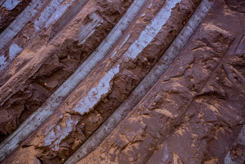 A layer of coal at the Hazelwood mine.