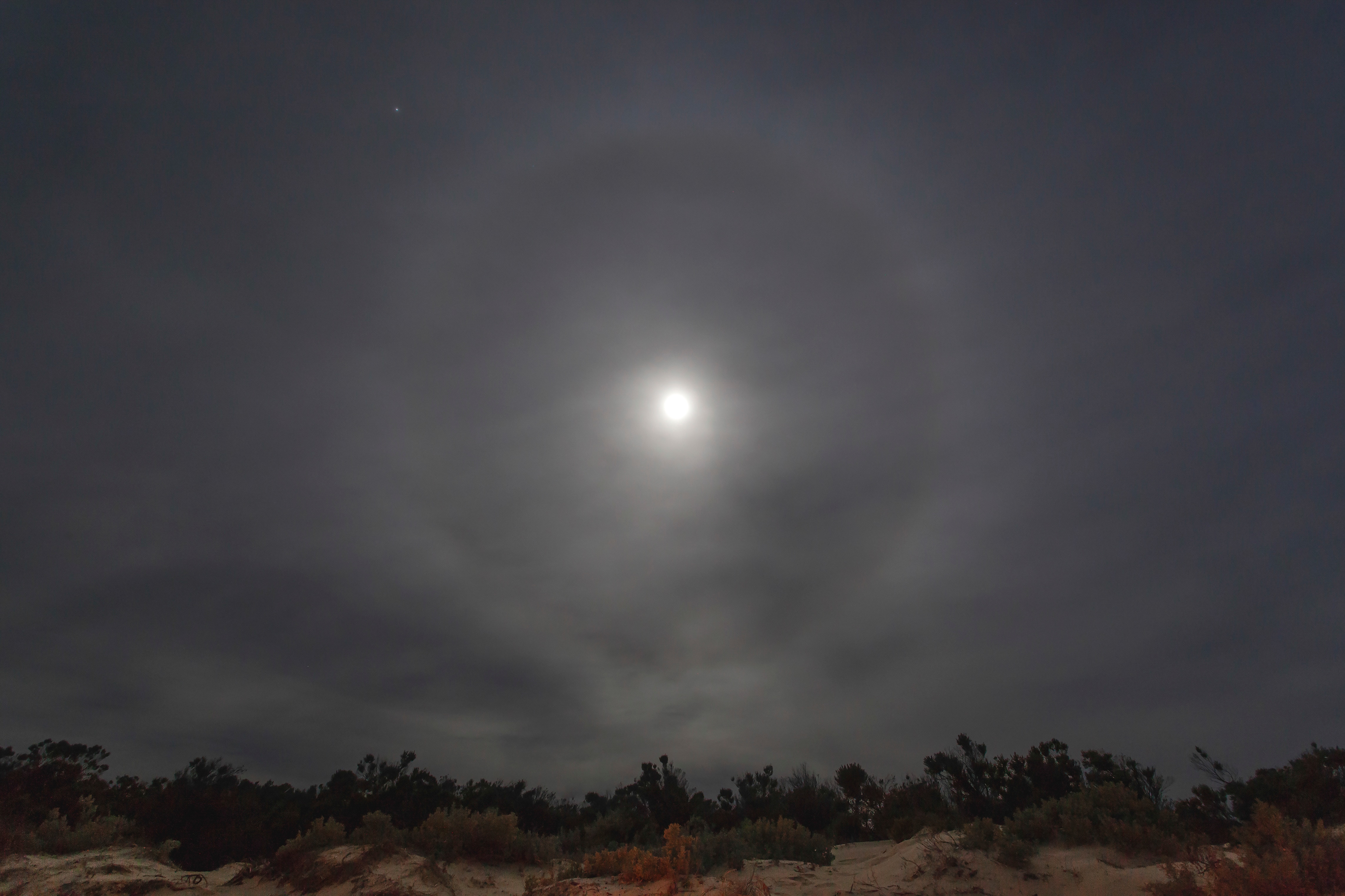 A small white moon is surrounded by a larger circle of light