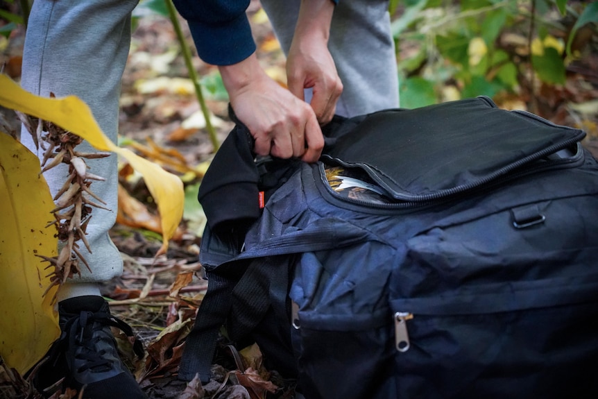 A close-up of a backpack being unzipped on a woodland floor.