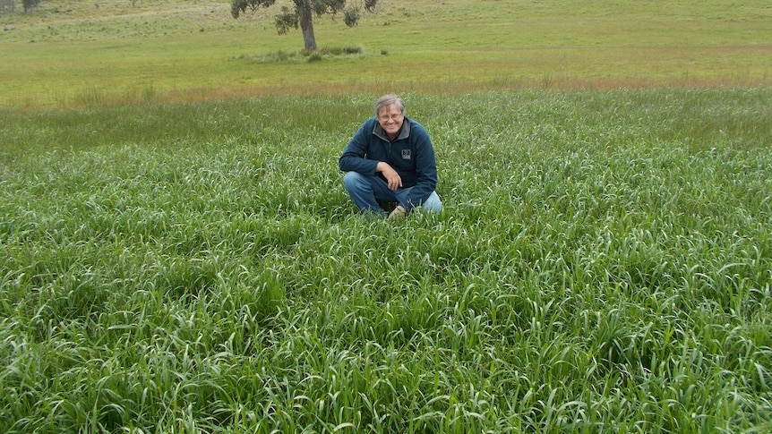 Adam Chapman from Huon Aquaculture checks the paddock treated with fish waste