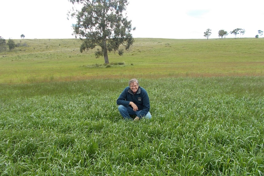 A man kneeling in the lush grass on a paddock treated with fish waste
