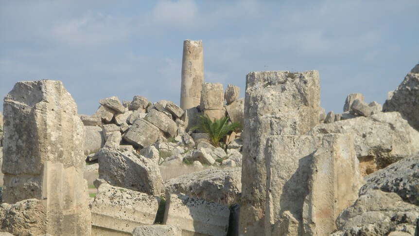 A picture of the ruins of Selinunte in Italy