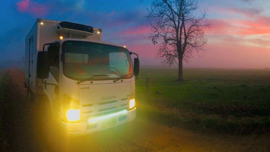 A milk truck drives through a rural area at dawn.