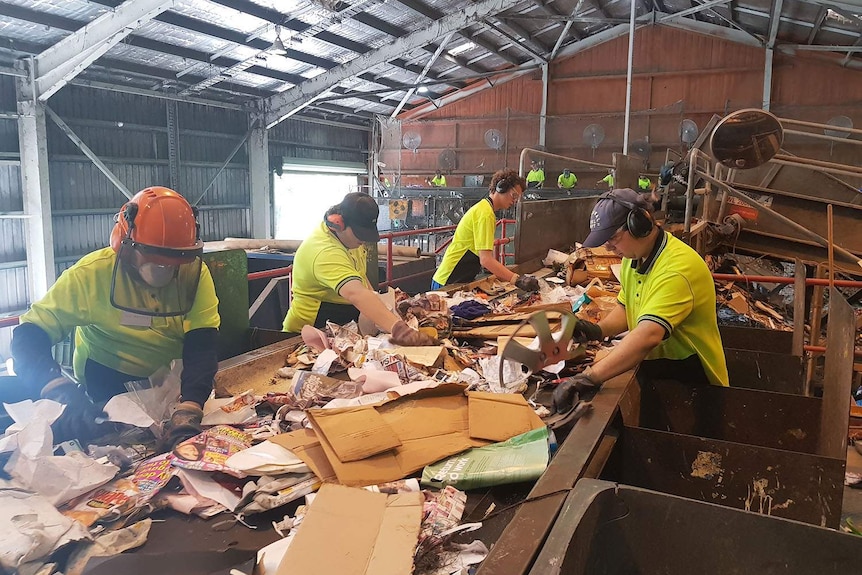 Workers sort through recycling.