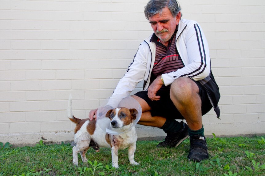 Steve Cox with his best mate Spud, a small Jack Russel breed of dog.
