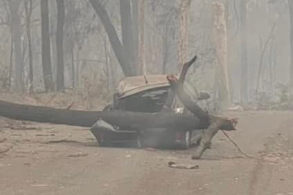 image of burnt car crushed by fallen branch in smoky and hazy conditions.
