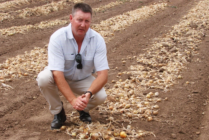 Tas Farmers and Graziers president Wayne Johnston