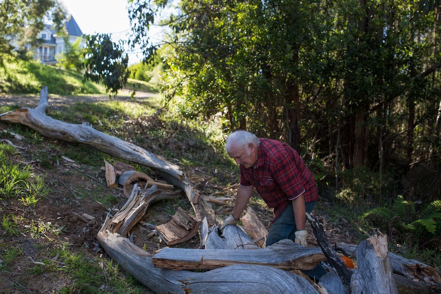 Graham McKee leans towards a huge felled tree with gloved hands, a house in the background.