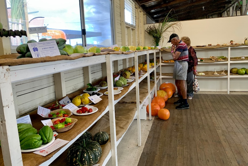 Shelves lined with produce entries in pavilion with a man and lady inspecting.