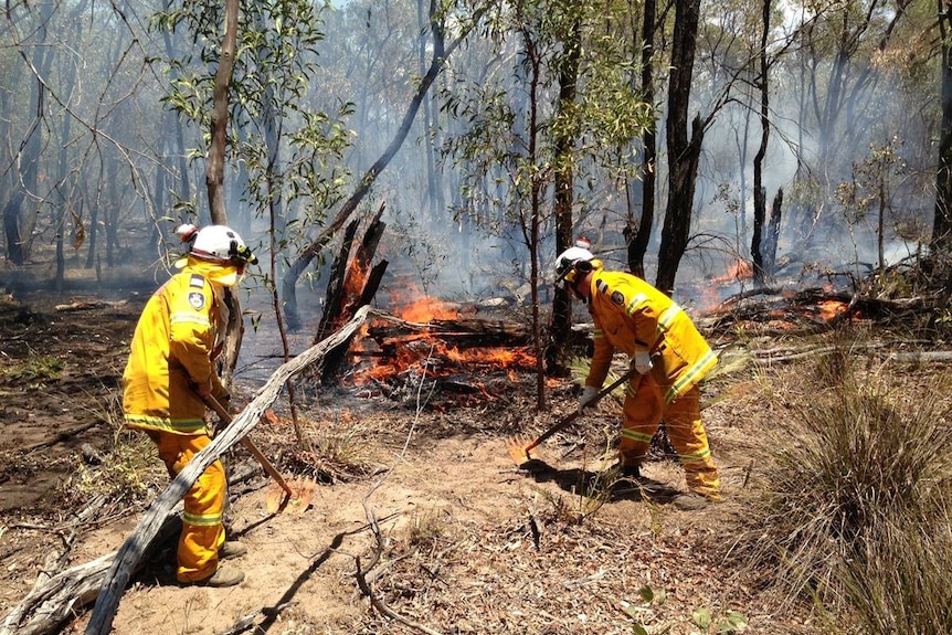 Two NSW RFS volunteers using garden hoes to clear ground ahead of a fire