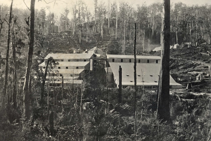 Battery shed for the Anchor Mine, 1895-1913