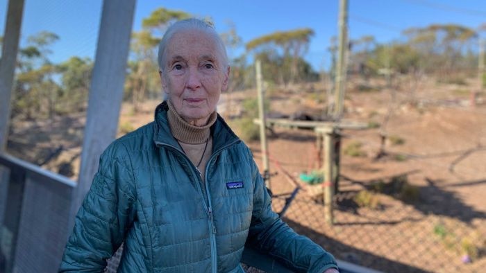 Jane Goodall kunjungi Kebun Binatang Monarto